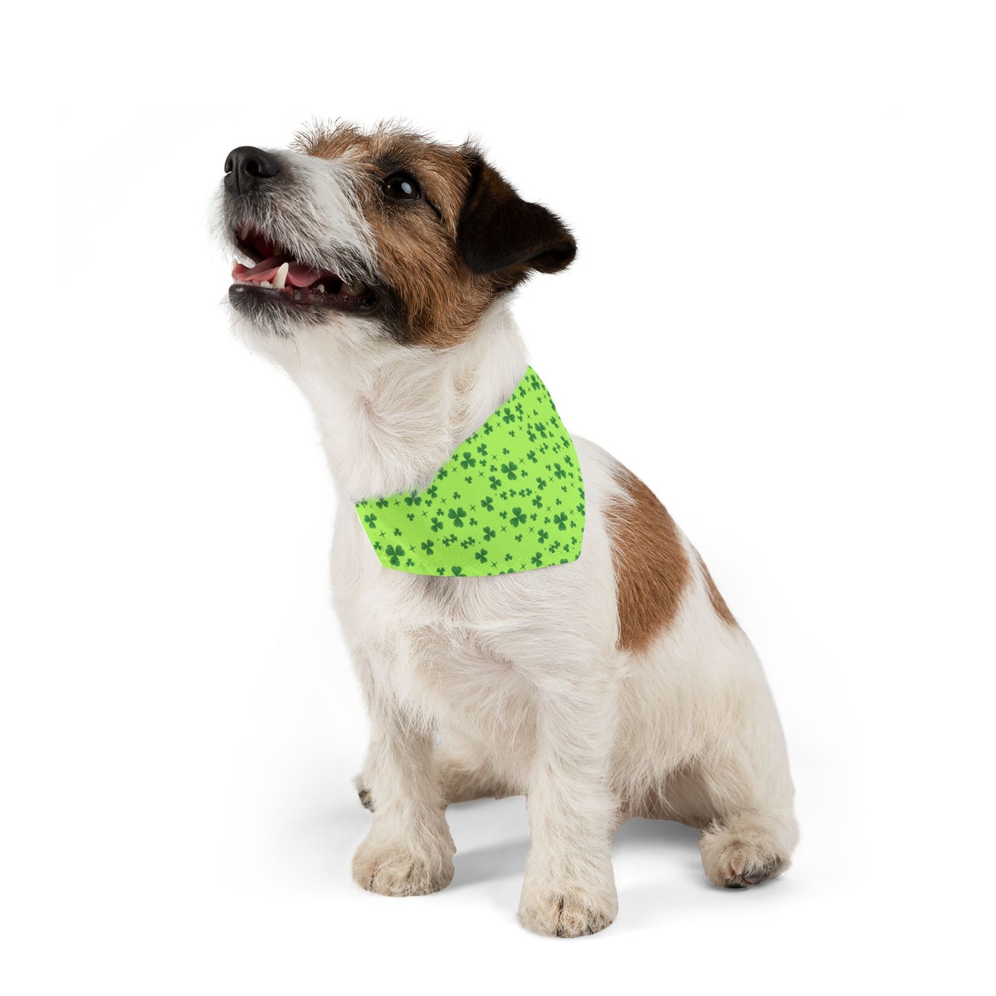 St. Patrick's Day Sparkling Shamrock Pet Bandana Collar