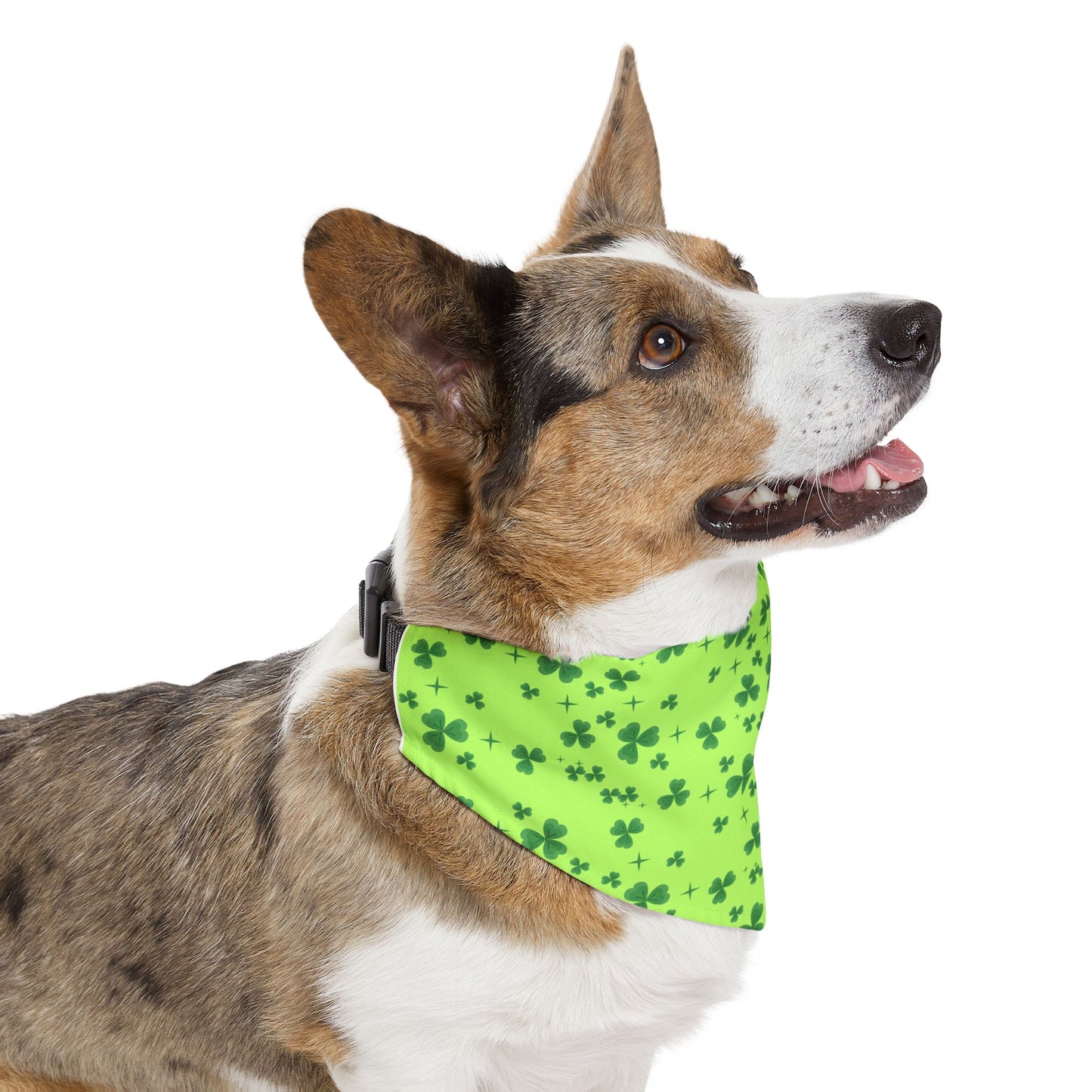St. Patrick's Day Sparkling Shamrock Pet Bandana Collar