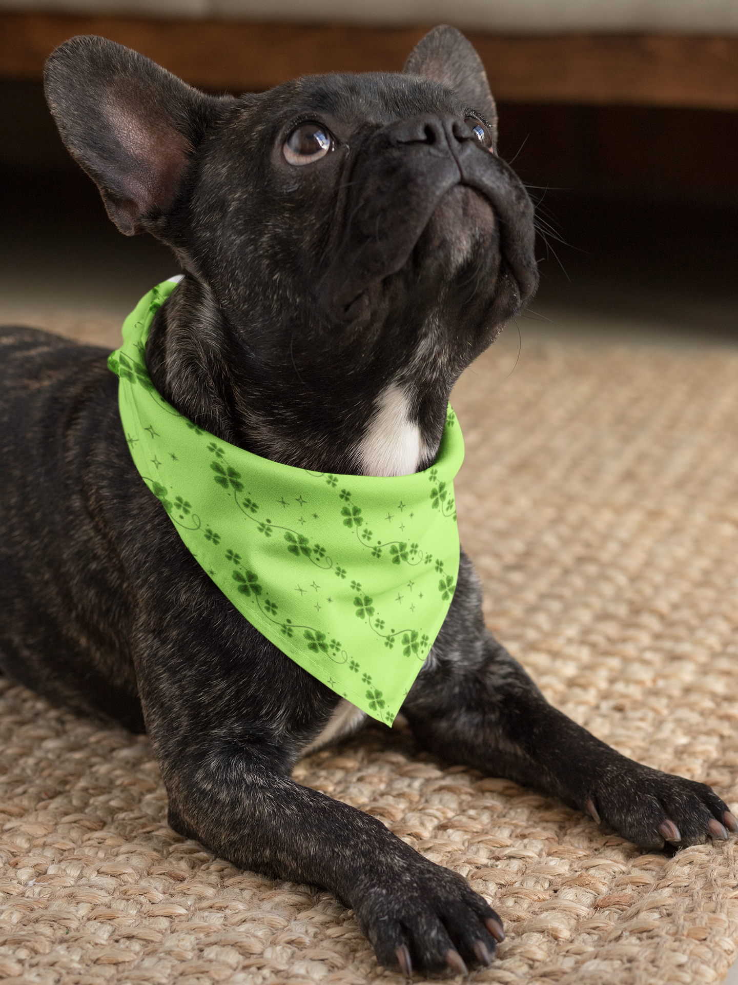 St. Patrick's Day Whimsical Shamrock Pet Bandana Collar