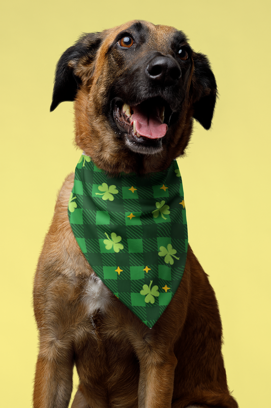 St. Patrick’s Day Shamrock Plaid Pet Bandana Collar